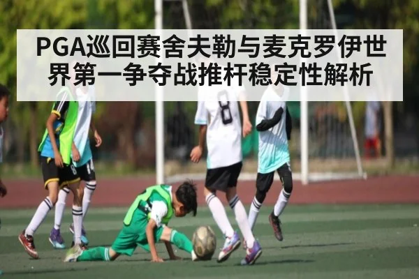 PGA巡回赛舍夫勒与麦克罗伊世界第一争夺战推杆稳定性解析